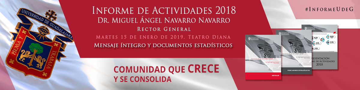 Informe de Actividades 2018 - Documentos oficiales