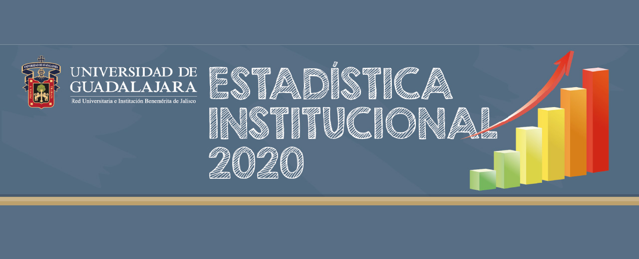 Estadistica institucional 2020 